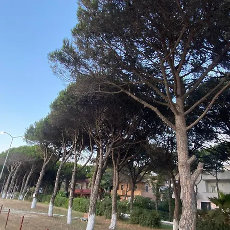 Adriatic Serenity Coast דירה